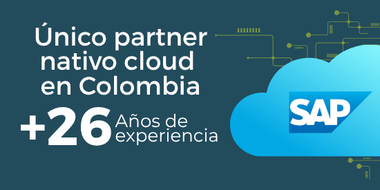 Post paquetizado SAP S4HANA (32)